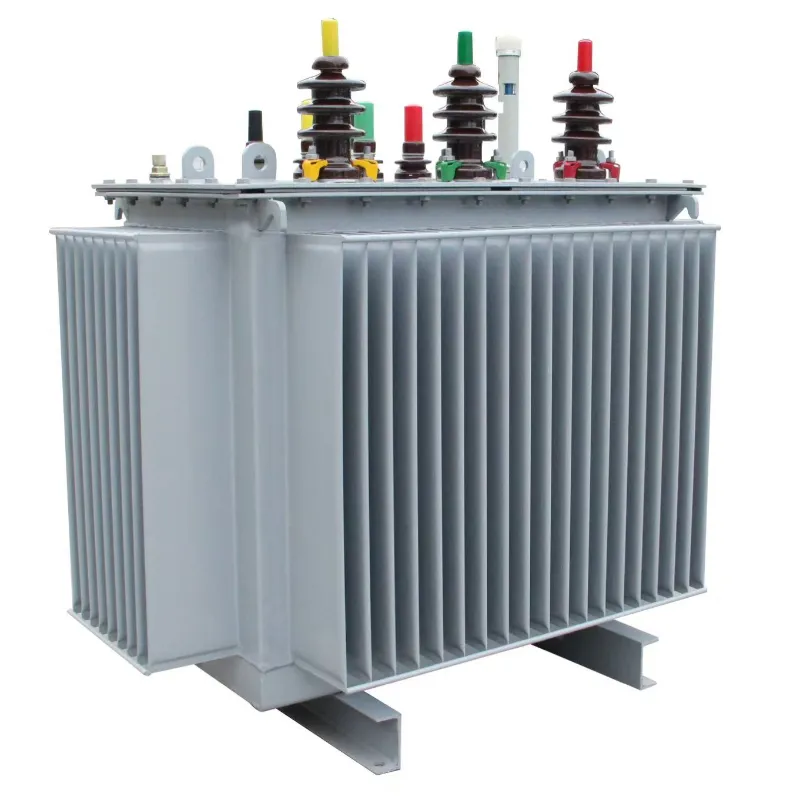 &eacute;conomie d'&eacute;nergie mont&eacute;e par Polonais ext&eacute;rieur triphas&eacute; du transformateur 11kV/400V 100kVA