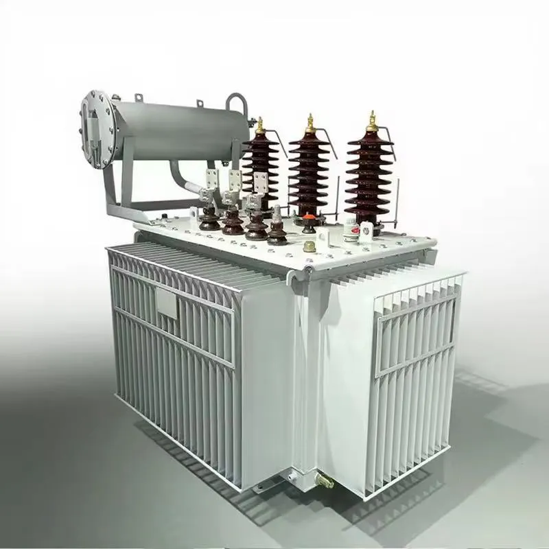 Transformateur de puissance immerg&eacute; dans l'huile &agrave; gamme compl&egrave;te de 2 000 kVA &agrave; 20 000 kVA, 10 kV/1