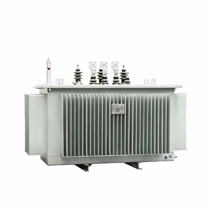 Transformateur immerg&eacute; dans l'huile triphas&eacute; &agrave; gamme compl&egrave;te de 30 kVA &agrave; 2 500 kVA, 10 kV/11 kV/22