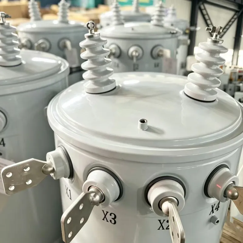 norme du CEI immerg&eacute;e dans l'huile du transformateur de distribution 25kVA monophas&eacute; 11kV/0.4kV