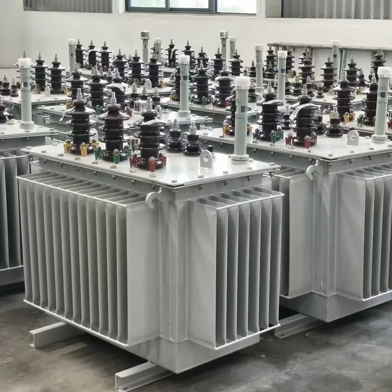 &eacute;conomie d'&eacute;nergie mont&eacute;e par Polonais ext&eacute;rieur triphas&eacute; du transformateur 11kV/400V 100kVA