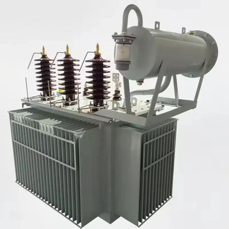 norme immerg&eacute;e dans l'huile triphas&eacute;e du CEI 60076 du transformateur de puissance 22kV/0.4kV 10MVA