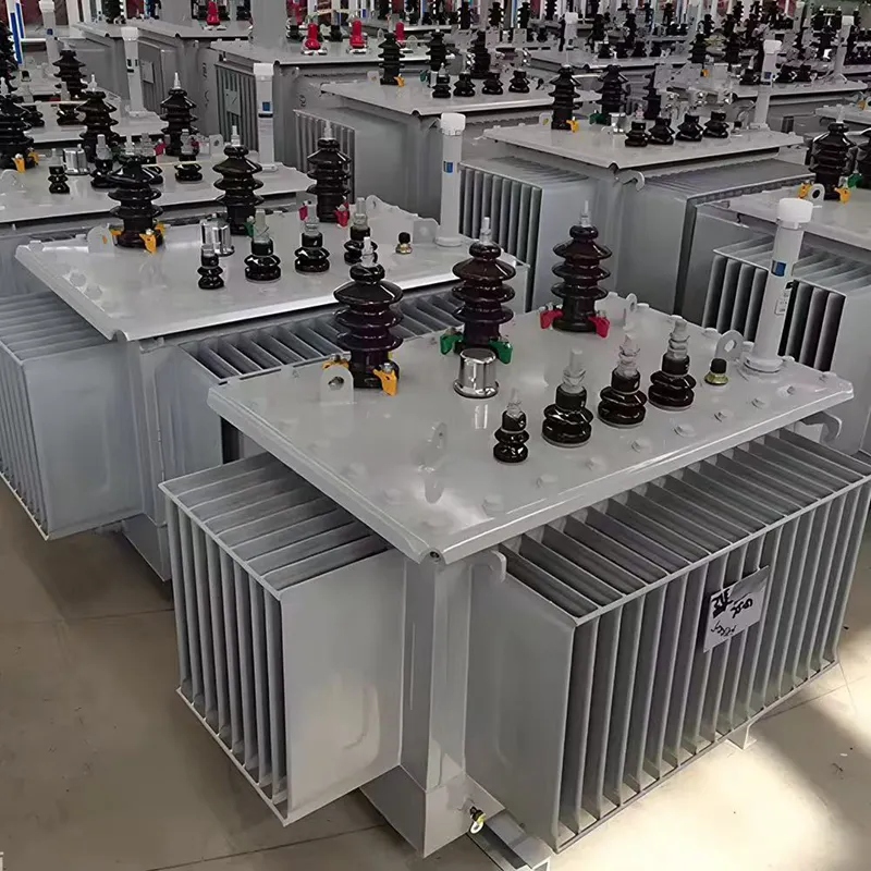 &eacute;conomie d'&eacute;nergie mont&eacute;e par Polonais ext&eacute;rieur triphas&eacute; du transformateur 11kV/400V 100kVA