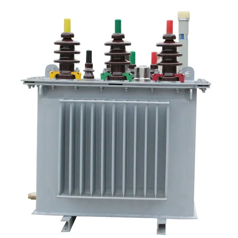 Transformateur immerg&eacute; dans l'huile triphas&eacute; 300kVA 22kV/0,4kV pour usage industriel